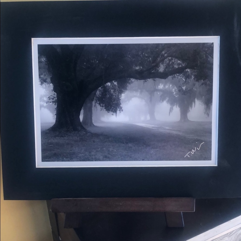 Signed print from Charleston.Lovely Black&White